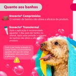 Antipulgas e Carrapatos Bravecto  C es Transdermal 4 5 a 10kg 250mg 1 Pipeta 0 89ml MSD Sa de Animal 9