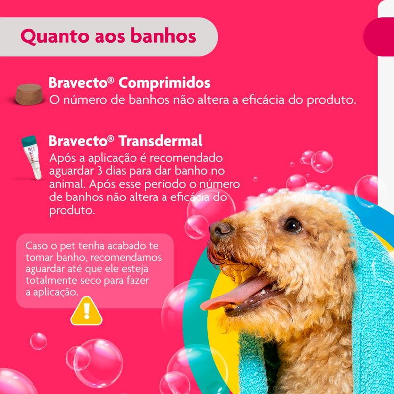 Antipulgas e Carrapatos Bravecto  C es Transdermal 4 5 a 10kg 250mg 1 Pipeta 0 89ml MSD Sa de Animal 9