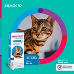 Antipulgas Bravecto  Gatos Transdermal 2 8 a 6 25kg 250mg 1 Pipeta 0 89ml MSD Sa de Animal 1