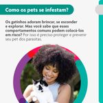 Antipulgas Bravecto  Gatos Transdermal 2 8 a 6 25kg 250mg 1 Pipeta 0 89ml MSD Sa de Animal 3