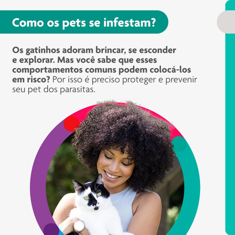 Antipulgas Bravecto  Gatos Transdermal 2 8 a 6 25kg 250mg 1 Pipeta 0 89ml MSD Sa de Animal 3