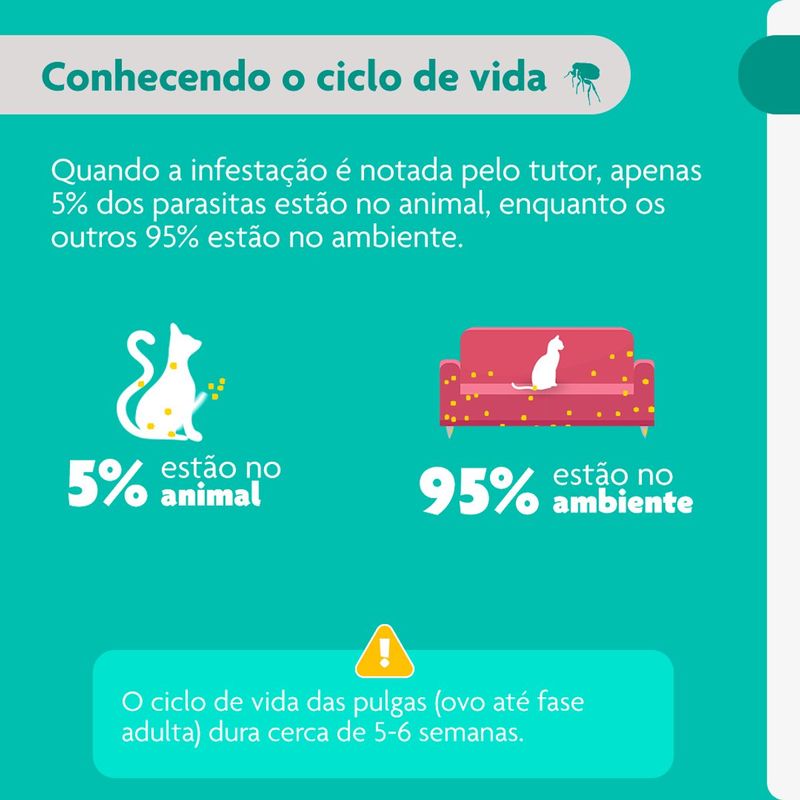 Antipulgas Bravecto  Gatos Transdermal 2 8 a 6 25kg 250mg 1 Pipeta 0 89ml MSD Sa de Animal 4