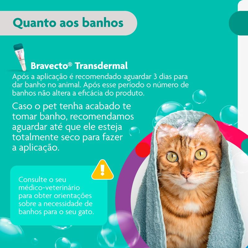 Antipulgas Bravecto  Gatos Transdermal 2 8 a 6 25kg 250mg 1 Pipeta 0 89ml MSD Sa de Animal 9