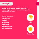 Antipulgas e Carrapatos Bravecto  C es Transdermal 2 a 4 5kg 112 5mg 1 Pipeta 0 4ml MSD Sa de Animal 2