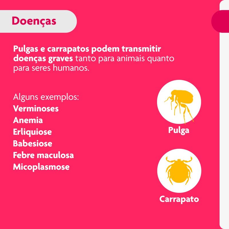 Antipulgas e Carrapatos Bravecto  C es Transdermal 2 a 4 5kg 112 5mg 1 Pipeta 0 4ml MSD Sa de Animal 2