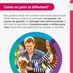 Antipulgas e Carrapatos Bravecto  C es Transdermal 2 a 4 5kg 112 5mg 1 Pipeta 0 4ml MSD Sa de Animal 3