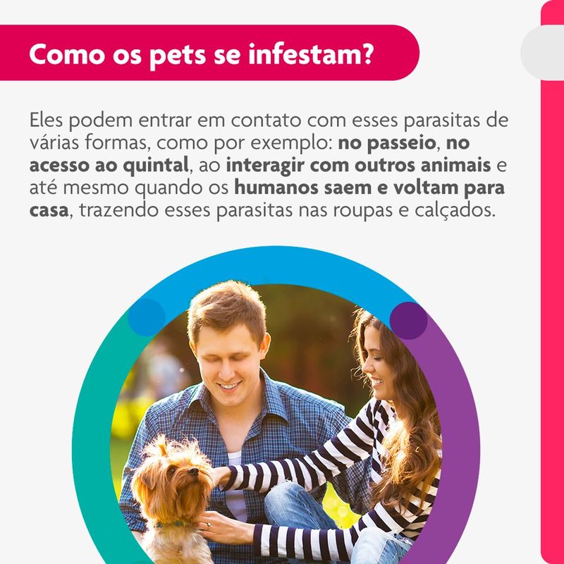 Antipulgas e Carrapatos Bravecto  C es Transdermal 2 a 4 5kg 112 5mg 1 Pipeta 0 4ml MSD Sa de Animal 3