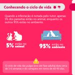 Antipulgas e Carrapatos Bravecto  C es Transdermal 2 a 4 5kg 112 5mg 1 Pipeta 0 4ml MSD Sa de Animal 4