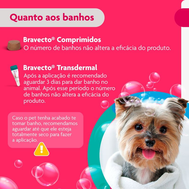 Antipulgas e Carrapatos Bravecto  C es Transdermal 2 a 4 5kg 112 5mg 1 Pipeta 0 4ml MSD Sa de Animal 9