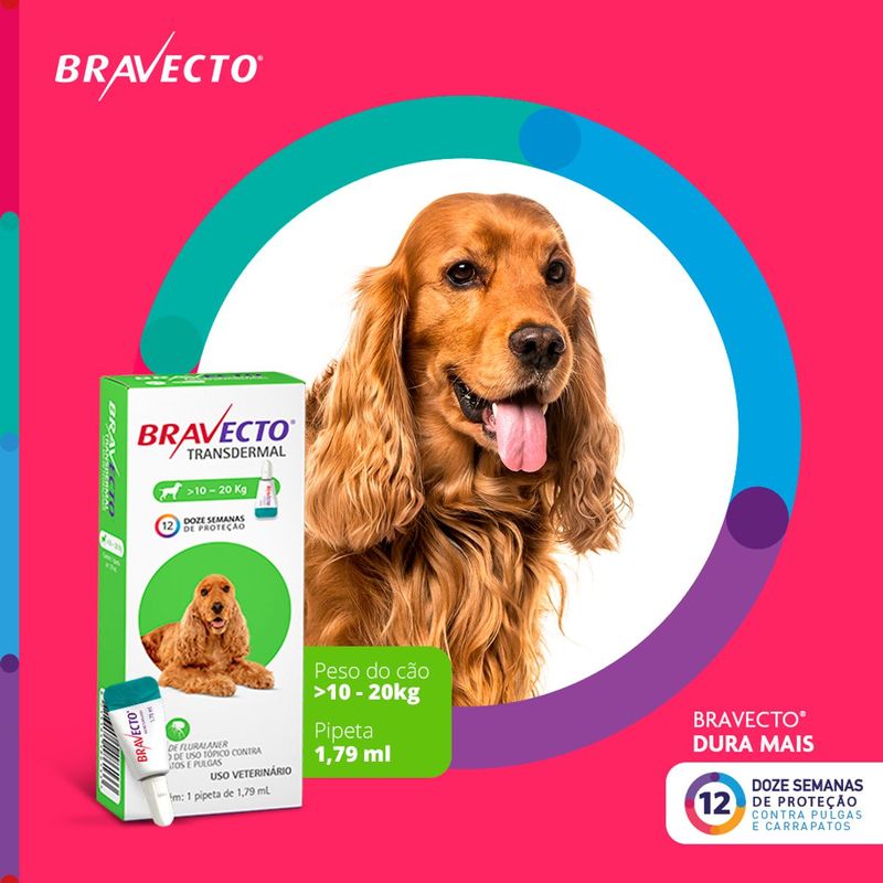 Antipulgas e Carrapatos Bravecto  C es Transdermal 10 a 20kg 500mg 1 Pipeta 1 79ml MSD Sa de Animal 1