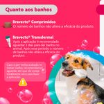 Antipulgas e Carrapatos Bravecto  C es Transdermal 10 a 20kg 500mg 1 Pipeta 1 79ml MSD Sa de Animal 9