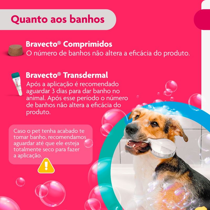 Antipulgas e Carrapatos Bravecto  C es Transdermal 10 a 20kg 500mg 1 Pipeta 1 79ml MSD Sa de Animal 9