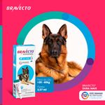 Antipulgas e Carrapatos Bravecto  C es Transdermal 20 a 40kg 1000mg 1 Pipeta 3 57ml MSD Sa de Animal 1