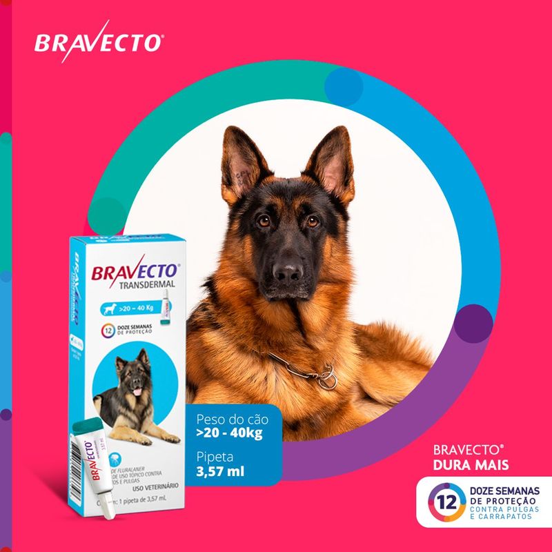 Antipulgas e Carrapatos Bravecto  C es Transdermal 20 a 40kg 1000mg 1 Pipeta 3 57ml MSD Sa de Animal 1