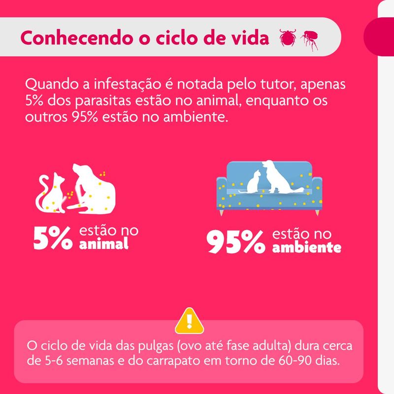 Antipulgas e Carrapatos Bravecto  C es Transdermal 20 a 40kg 1000mg 1 Pipeta 3 57ml MSD Sa de Animal 4