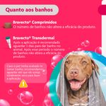 Antipulgas e Carrapatos Bravecto  C es Transdermal 20 a 40kg 1000mg 1 Pipeta 3 57ml MSD Sa de Animal 9