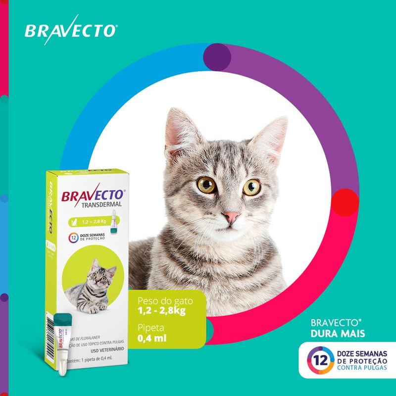 Antipulgas Bravecto  Gatos Transdermal 1 2 a 2 5kg 112 5mg 1 Pipeta 0 4ml MSD Sa de Animal 1