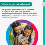 Antipulgas Bravecto  Gatos Transdermal 1 2 a 2 5kg 112 5mg 1 Pipeta 0 4ml MSD Sa de Animal 3