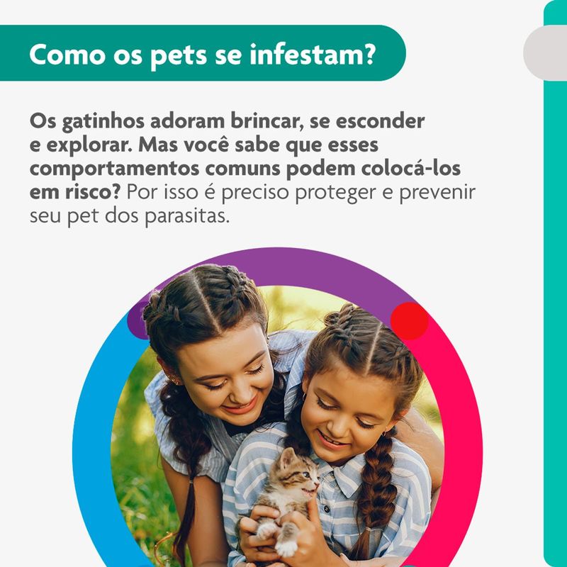 Antipulgas Bravecto  Gatos Transdermal 1 2 a 2 5kg 112 5mg 1 Pipeta 0 4ml MSD Sa de Animal 3