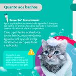 Antipulgas Bravecto  Gatos Transdermal 1 2 a 2 5kg 112 5mg 1 Pipeta 0 4ml MSD Sa de Animal 8