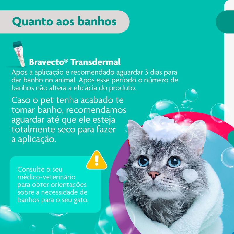 Antipulgas Bravecto  Gatos Transdermal 1 2 a 2 5kg 112 5mg 1 Pipeta 0 4ml MSD Sa de Animal 8