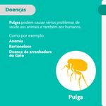 Antipulgas Bravecto  Gatos Transdermal 5 25 a 12 5kg 500mg 1 Pipeta 1 79ml MSD Sa de Animal 2