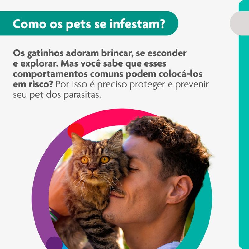 Antipulgas Bravecto  Gatos Transdermal 5 25 a 12 5kg 500mg 1 Pipeta 1 79ml MSD Sa de Animal 3