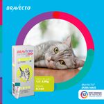 Antipulgas  Sarna de Ouvido e Verminoses Bravecto  Gatos Transdermal Plus 1 2 a 2 5kg 112 5mg 1 Pipeta 0 4ml MSD Sa de Animal 1