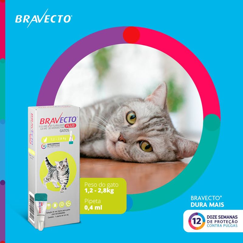 Antipulgas  Sarna de Ouvido e Verminoses Bravecto  Gatos Transdermal Plus 1 2 a 2 5kg 112 5mg 1 Pipeta 0 4ml MSD Sa de Animal 1