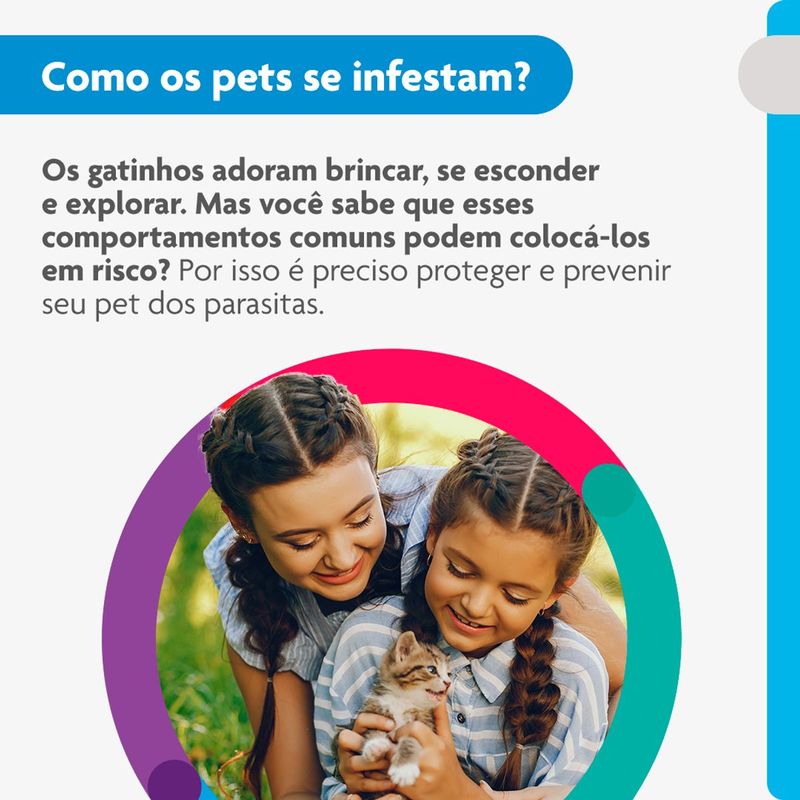 Antipulgas  Sarna de Ouvido e Verminoses Bravecto  Gatos Transdermal Plus 1 2 a 2 5kg 112 5mg 1 Pipeta 0 4ml MSD Sa de Animal 3