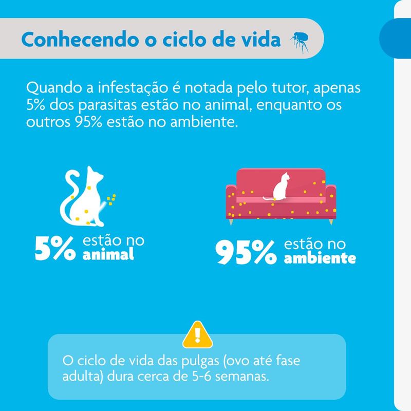 Antipulgas  Sarna de Ouvido e Verminoses Bravecto  Gatos Transdermal Plus 1 2 a 2 5kg 112 5mg 1 Pipeta 0 4ml MSD Sa de Animal 4