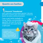 Antipulgas  Sarna de Ouvido e Verminoses Bravecto  Gatos Transdermal Plus 1 2 a 2 5kg 112 5mg 1 Pipeta 0 4ml MSD Sa de Animal 9