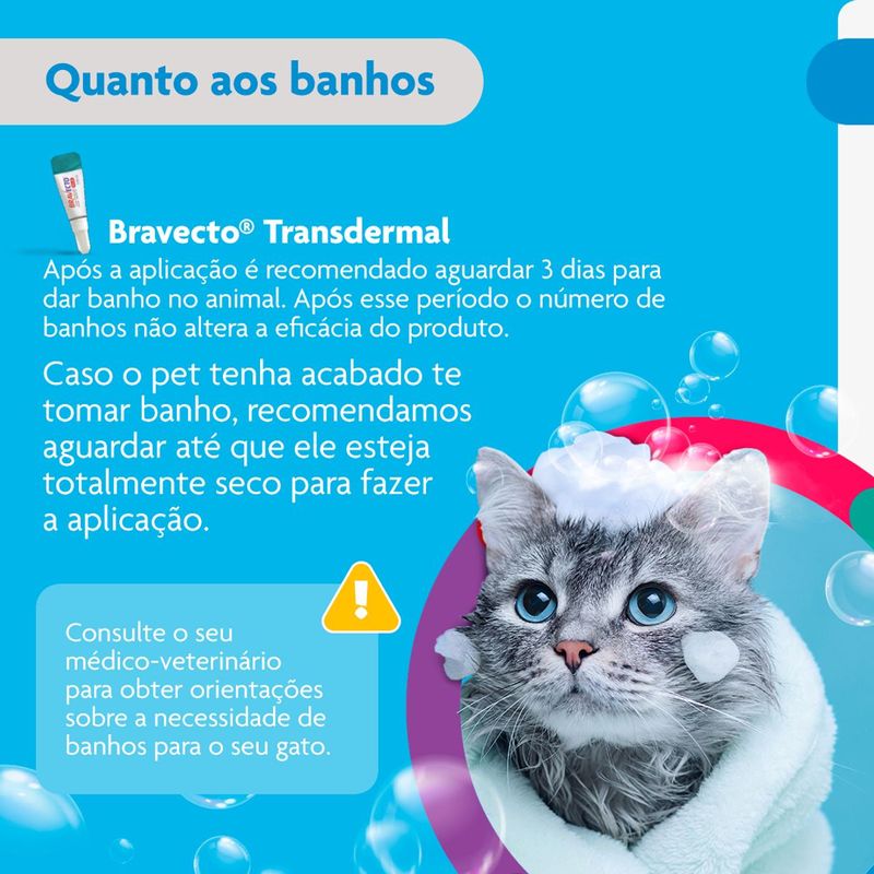 Antipulgas  Sarna de Ouvido e Verminoses Bravecto  Gatos Transdermal Plus 1 2 a 2 5kg 112 5mg 1 Pipeta 0 4ml MSD Sa de Animal 9