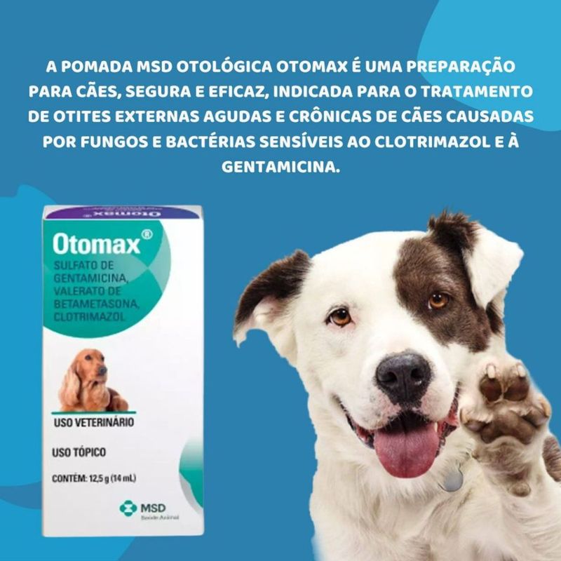 Pomada Otol gica MSD Otomax para C es 12 5g  1