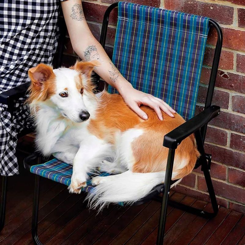 cadeira-mor-xadrez-marine-azul-7 jpg