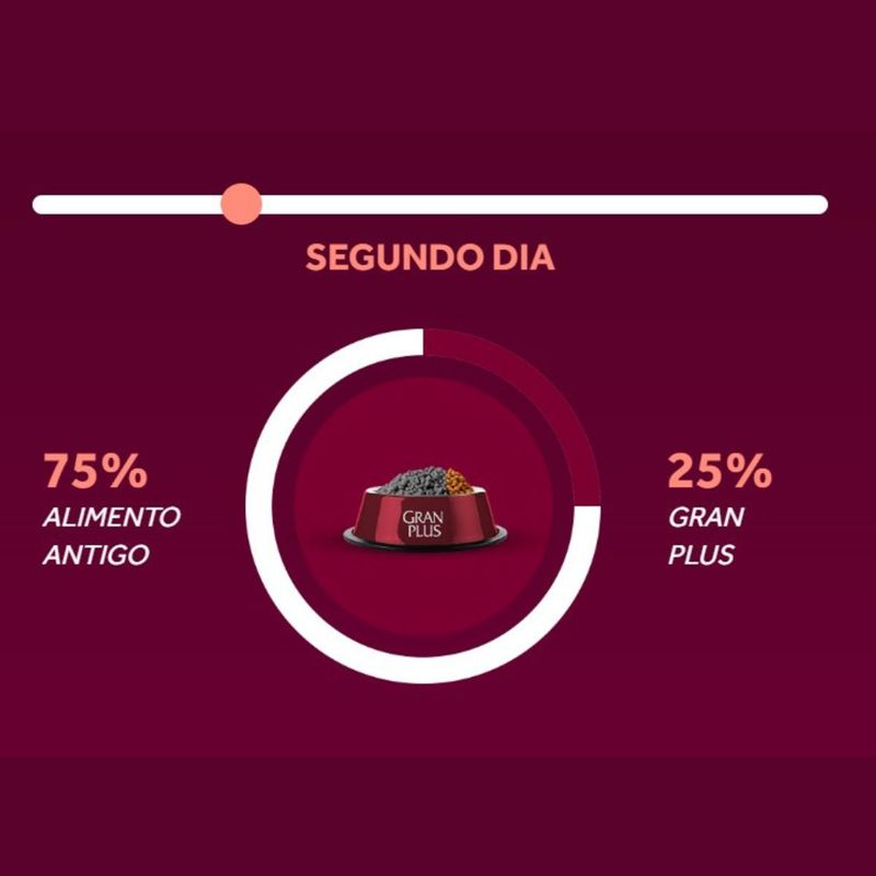 Ra  o Seca GranPlus Gourmet para C es Adultos Porte Mini Ovelha e Arroz 3kg 6