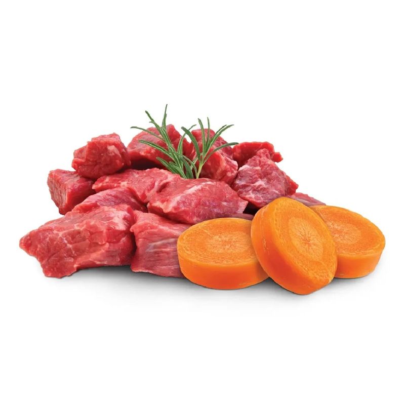 Ra  o  mida GranPlus Gourmet Pat  para C es Adultos Carne e Cenoura 300g 3