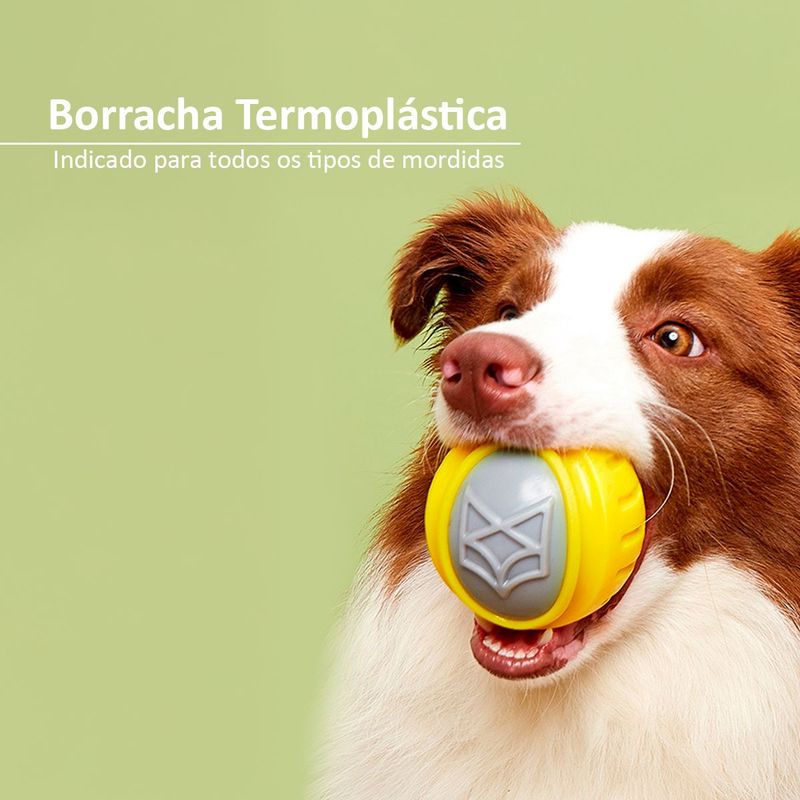 brinquedo-animaux-bolinha-apito-treinamento-para-caes-porte-grande-tamanho-g-10cm-3 jpg