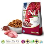 Ra  o Seca N D Quinoa Hairball para Gatos Adultos Pato  Quinoa  Ma   e Cranberry 1 5kg 2