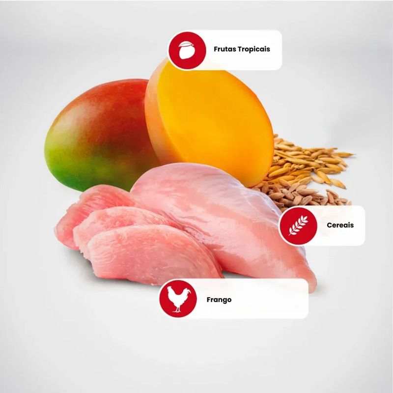 Ra  o Seca N D Tropical Selection para C es Adultos Porte M dio e Grande Frango  Cereais e Frutas Tropicais 10 1kg 4