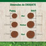 Ra  o Seca N D Prime para C es Adultos Porte M dio Cordeiro e Blueberry 10 1kg 4