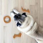 brinquedo-animaux-mordedor-chifre-bambu-para-caes-3 jpg