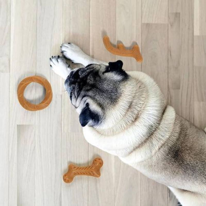 brinquedo-animaux-mordedor-chifre-bambu-para-caes-3 jpg