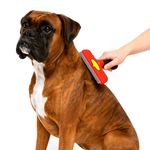 escova-animaux-rasqueadeira-pelos-curtos-para-caes-porte-grande-vermelho-azul-tamanho-gg-2 jpg