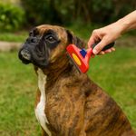 escova-animaux-rasqueadeira-pelos-curtos-para-caes-porte-grande-vermelho-azul-tamanho-gg-4 jpg