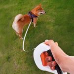 Guia Retr til Animaux Retangular 2 para Coleira Passeio para C es Porte Pequeno e M dio Verde 4 5m 4