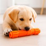 Brinquedo Animaux Mordedor 18cm Porta Petisco para C es Porte Pequeno e M dio Laranja 2