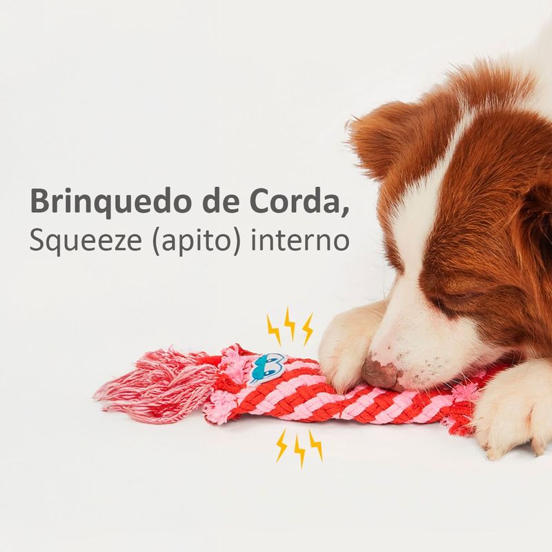 Brinquedo Animaux Mordedor Corda Lagosta para C es 2