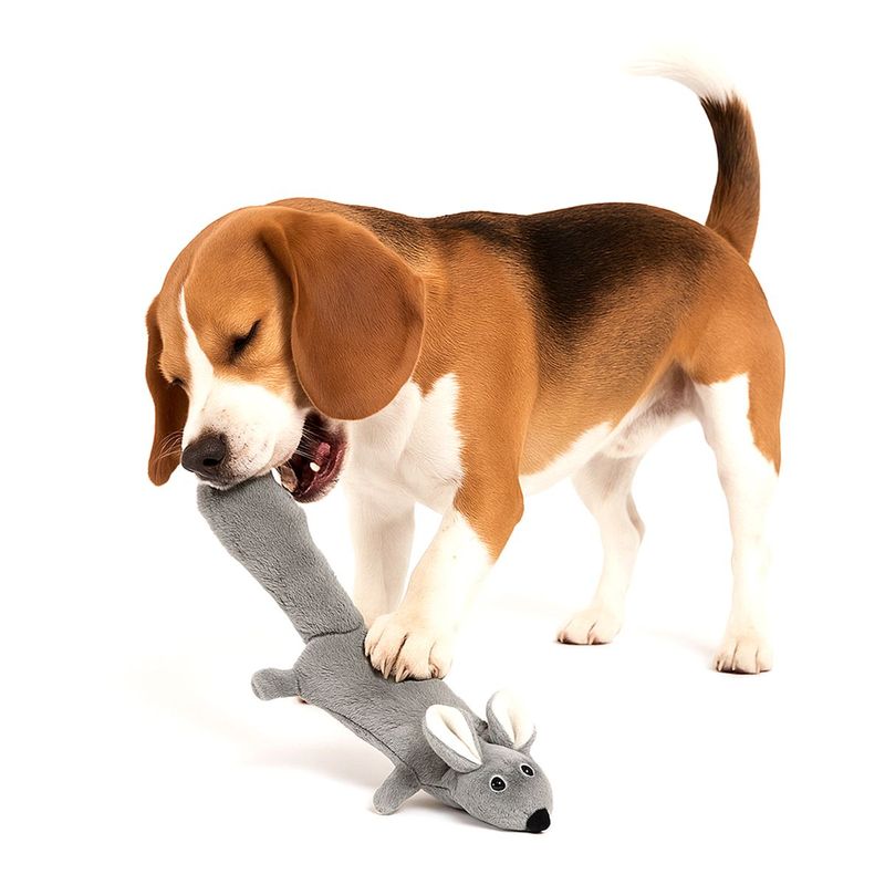 Brinquedo Animaux Coelho Pel cia para C es e Gatos 2