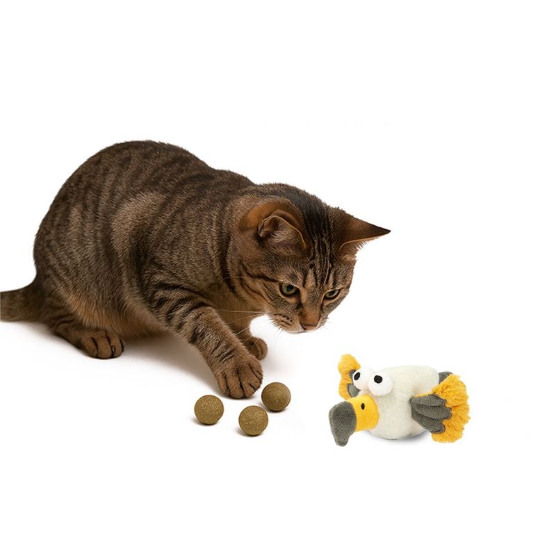 Brinquedo Animaux  guia com Som e Bolinhas de Catnip para Gatos 3